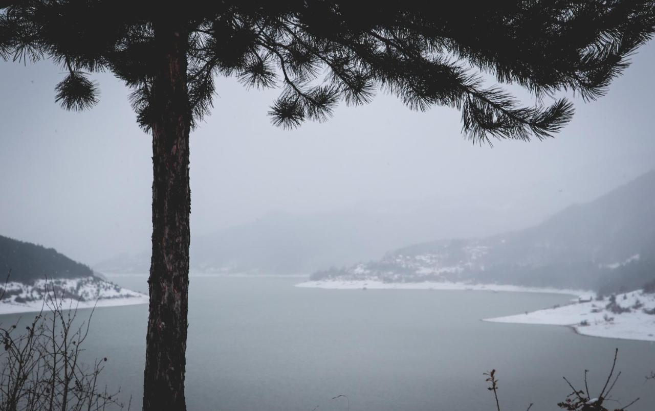 Vila Nemir Zavojsko Jezero ปิโรต์ ภายนอก รูปภาพ